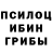 Псилоцибиновые грибы MAGIC MUSHROOMS Kevin Salcido