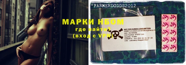ПСИЛОЦИБИНОВЫЕ ГРИБЫ Алзамай