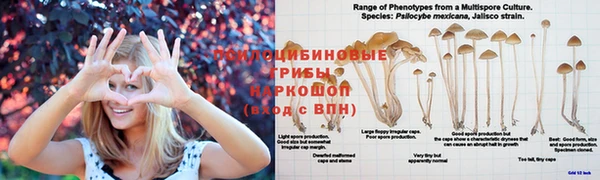 гашишное масло Алексеевка